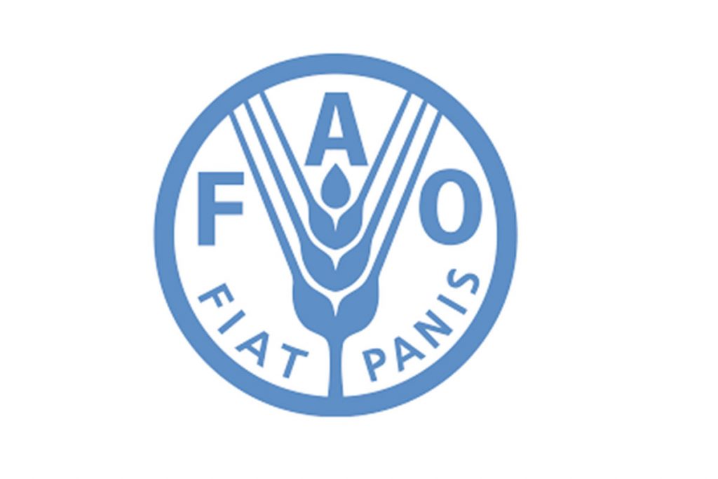 FAO Hungary Scholarship Program